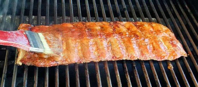Quick Back Ribs2