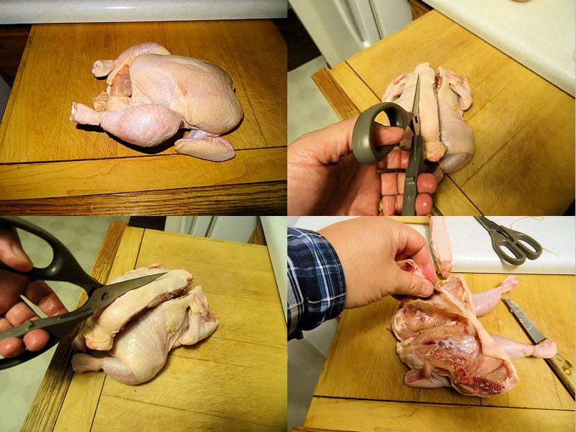 Roast Chicken and Potatoes