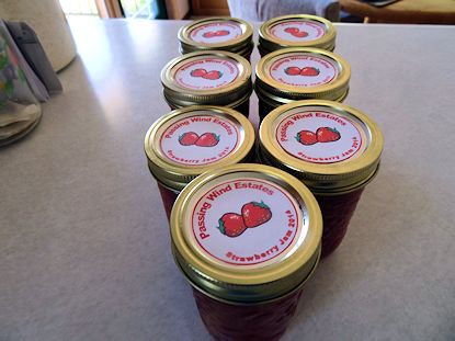 Strawberry Jam4