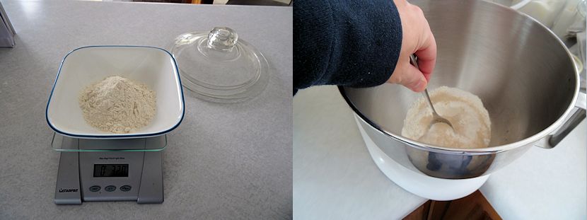 Beginner Dinner Rolls