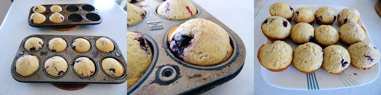 Haskap Muffins 3