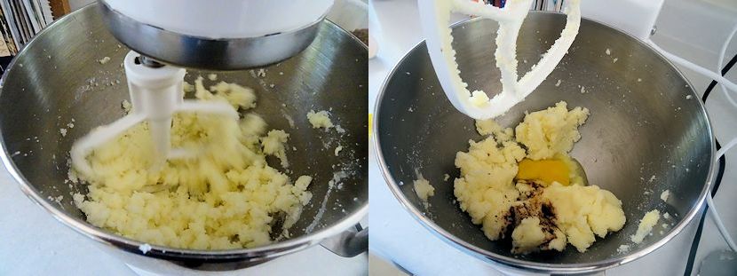 Rhubarb Haskap Cake 2