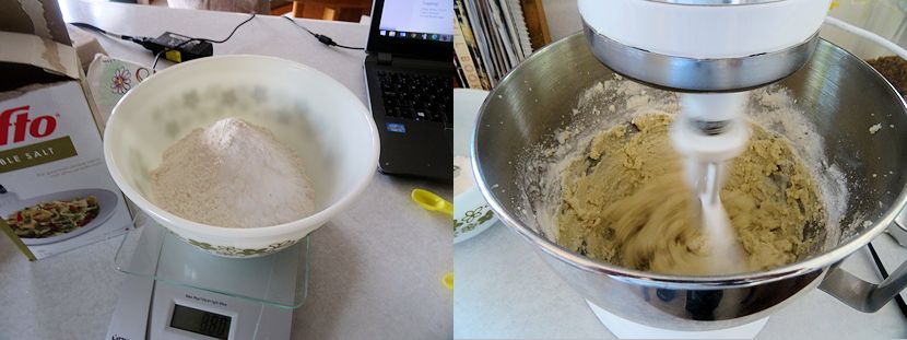 Rhubarb Haskap Cake 3