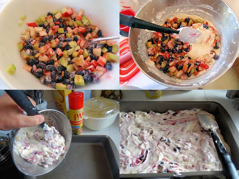 Rhubarb Haskap Cake 4