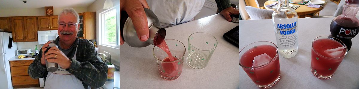 Absolute Pomegranate Julep 2