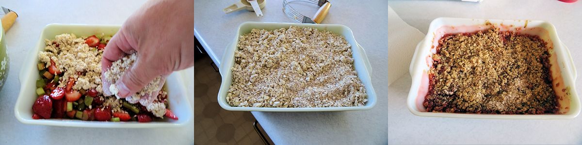 Strawberry Rhubarb Crisp 3
