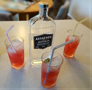 Aviation Gin Beauty 3