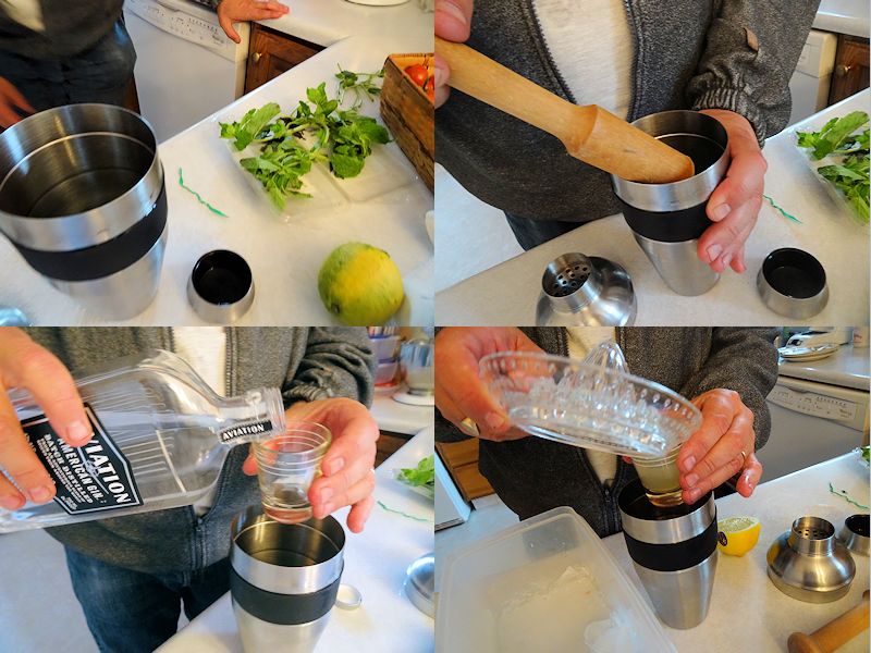 Aviation Gin Beauty 4