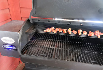 Honey Teriyaki Wings 3