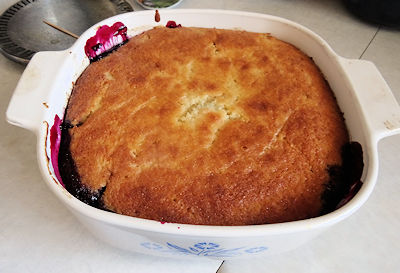 haskap-pudding-cake-07